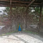 Agriturismo La Ruota Çiftlik konaklama