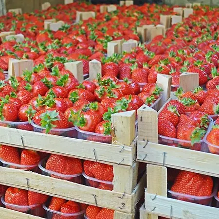 Agriturismo La Ruota Séjour à la ferme *