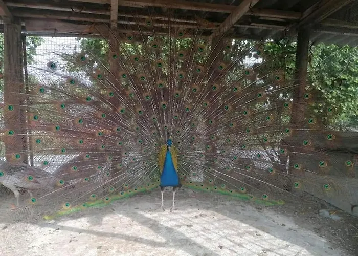 La Ruota Agroturismo