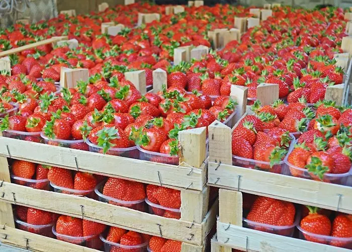 La Ruota Agroturismo *